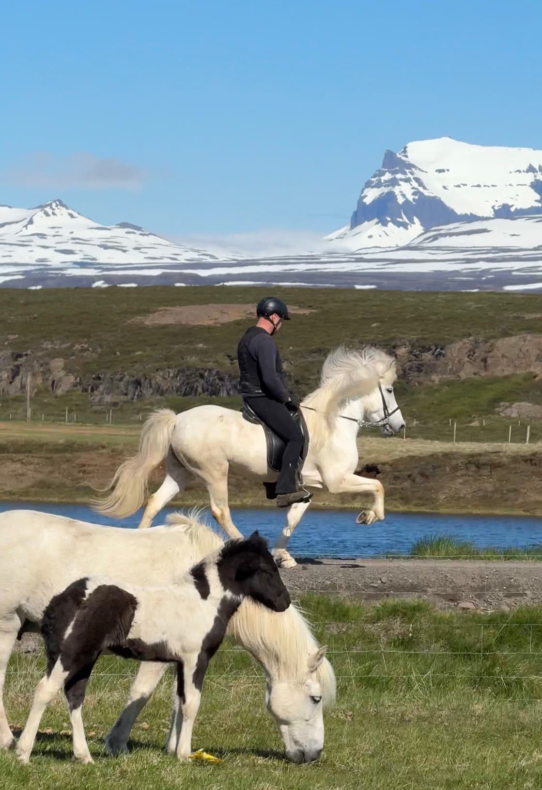 Fiðla frá Tjarnarlandi - IS2018275486